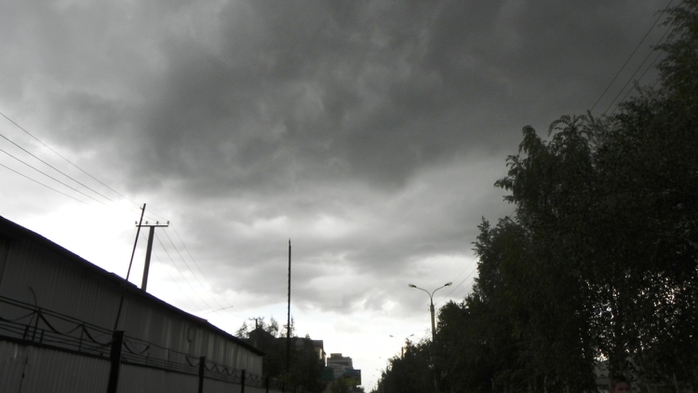 DSCN7050 (700x393, 145Kb)