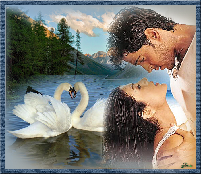 Верность чиста. Любовь и верность. Любовь и лебеди. Романтика любовь лебедь. Лебеди люди любовь.