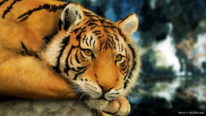 1334236818_3b5743c6cc (700x393, 94Kb)