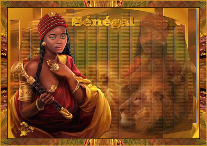 senegalguy (700x494, 81Kb)
