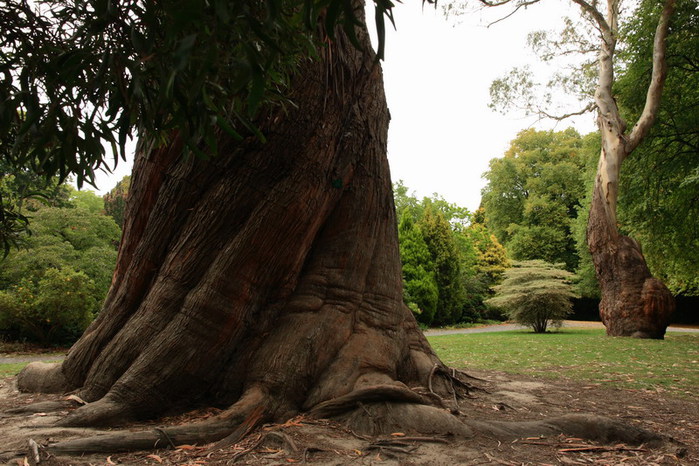 nz1748_christchurch (700x466, 122Kb)