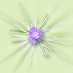 3815384_3 (150x150, 4Kb)