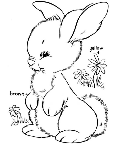 easter-bunny-2-coloring-pages-7-com (412x505, 143Kb)