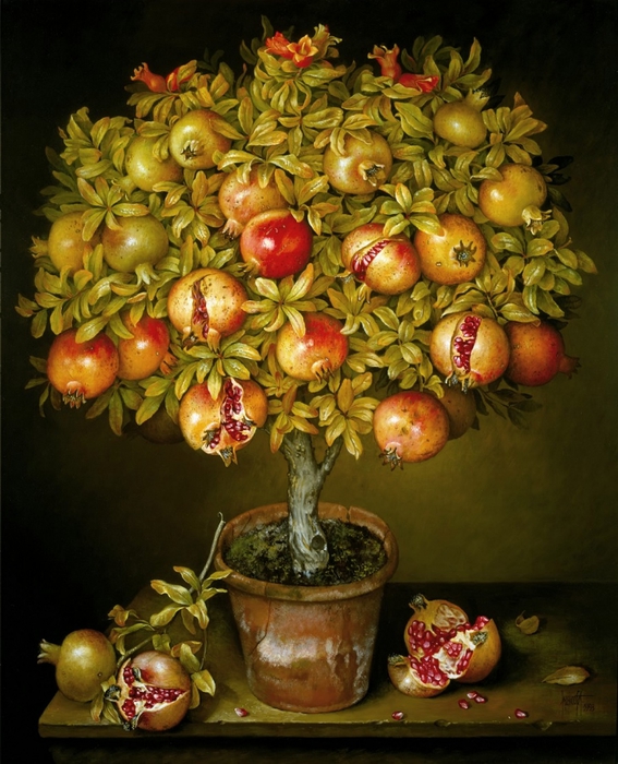 POTTED POMEGRANATE TREE 91x76 cms oil on canvas 1993(1) (567x700, 312Kb)