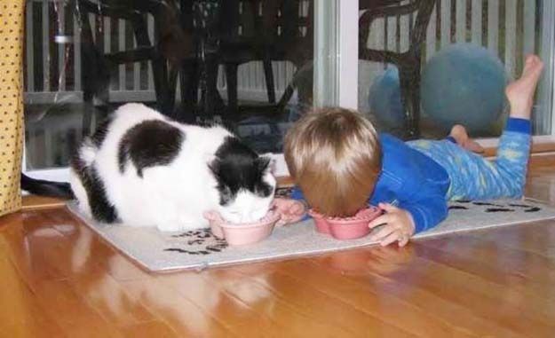 babies_and_cats_01511_005 (625x381, 38Kb)