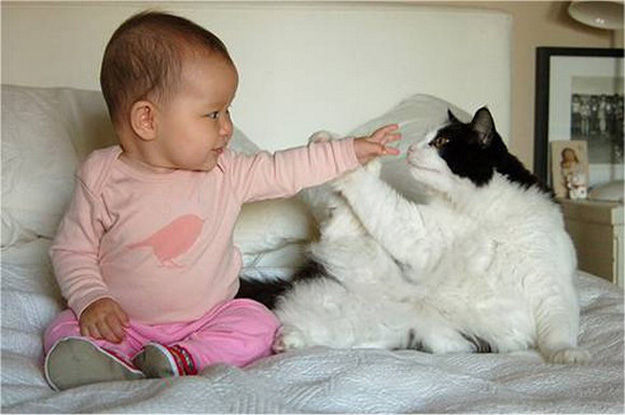 babies_and_cats_01511_006 (625x415, 49Kb)