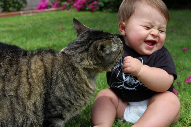 babies_and_cats_01511_007 (625x417, 65Kb)