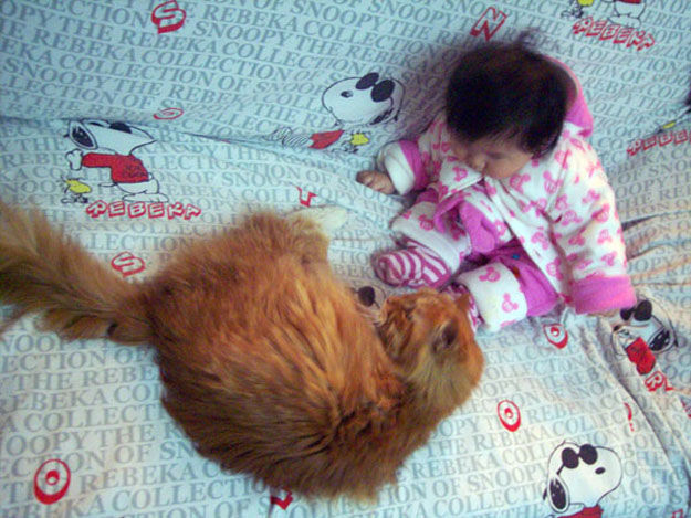 babies_and_cats_01511_010 (625x469, 89Kb)