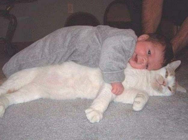 babies_and_cats_01511_017 (625x464, 41Kb)