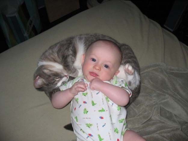babies_and_cats_01511_018 (625x469, 31Kb)