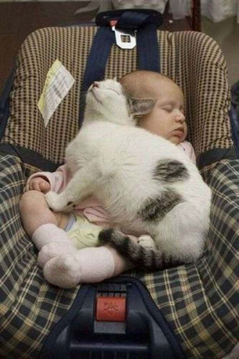 babies_and_cats_01511_023 (505x700, 299Kb)