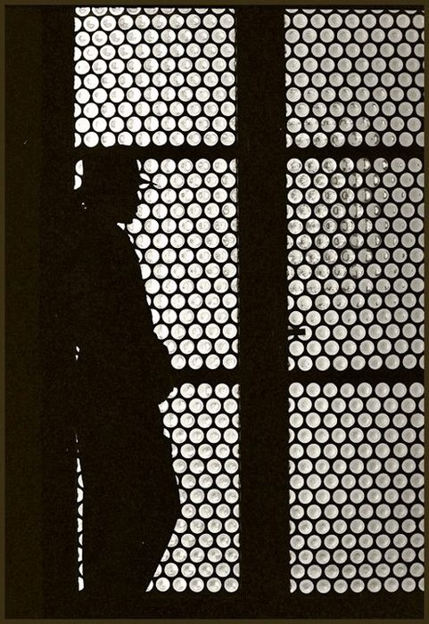 554711_10151127998538288_195236823_n (481x700, 100Kb)