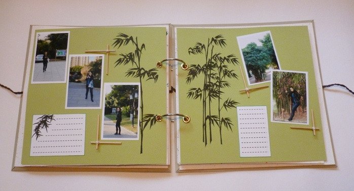 3527967_P1010838 (700x378, 102Kb)