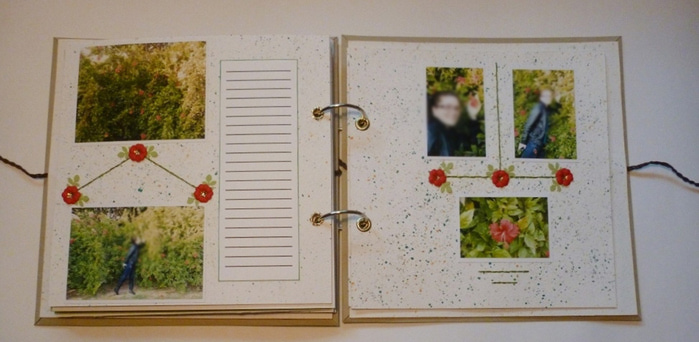 3527967_P1010840 (700x342, 98Kb)