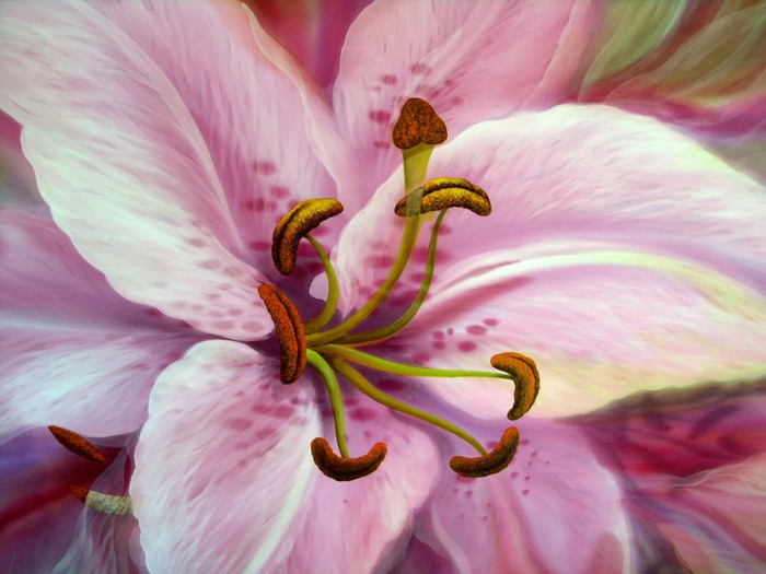 f0_331588838 (700x525, 77Kb)