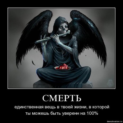    (520x520, 50Kb)
