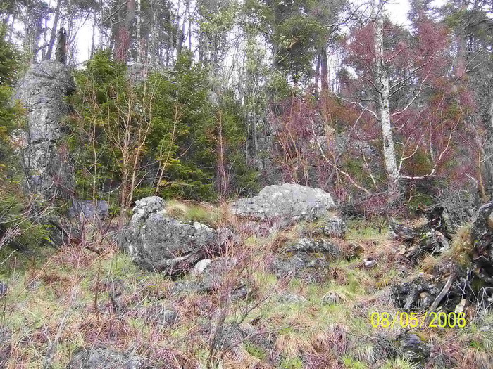 4695821_5300_1_ (700x525, 256Kb)