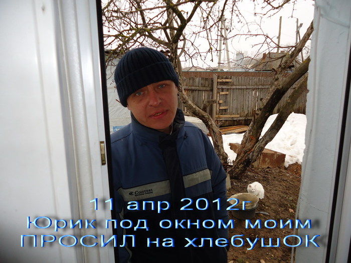      (700x525, 112Kb)