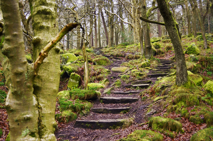 peak district (9) (700x463, 333Kb)