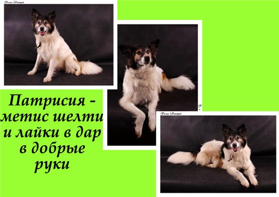  (560x396, 40Kb)