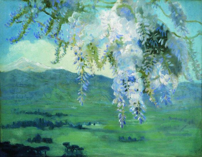 blooming-wisteria-1912 (700x546, 68Kb)