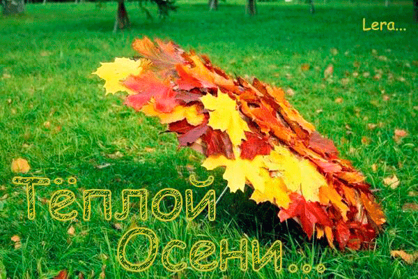 � (600x400, 231Kb)