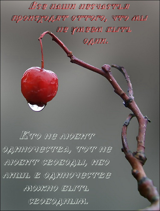 87667567_large_1 (532x699, 101Kb)