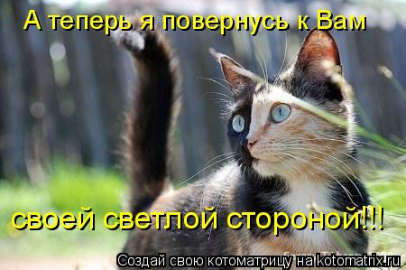 c4ac926ccd3672232557b5dd417a6e42_full (450x299, 31Kb)