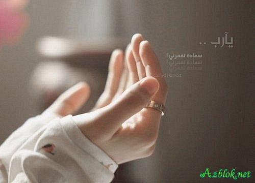 1345987197_x_e65c8fda (500x360, 61Kb)