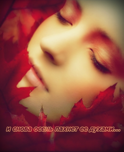 4441740_1219920288_autumn_dreams_by_katarinka (400x490, 97Kb)