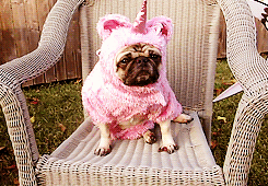 3962831_tumblr_m4pk35RHNj1rx2y8oo2_250 (245x170, 968Kb)