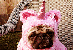 3962831_tumblr_m4pk35RHNj1rx2y8oo6_250 (245x170, 975Kb)