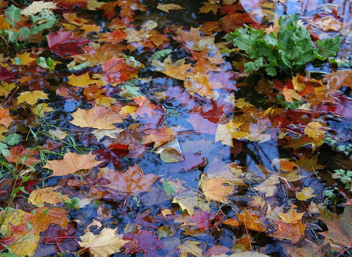 0_79cf3_3b9cf03f_-3-XL (700x511, 171Kb)
