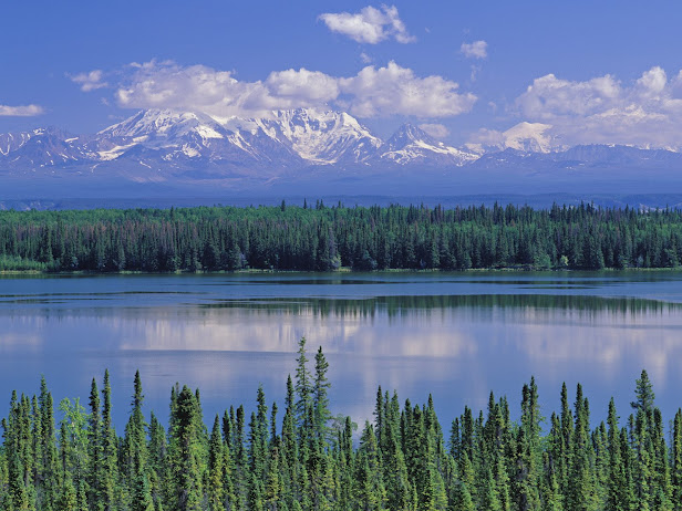 Willow Lake and Mount Wrangell, Wrangell Saint Elias National Park, Alaska (616x462, 113Kb)