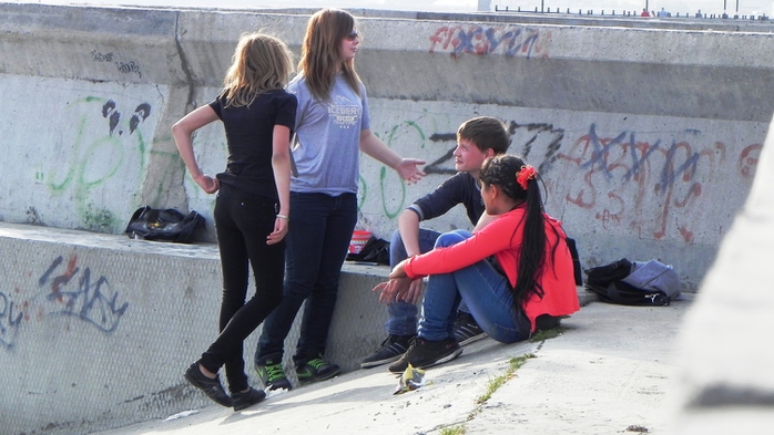 DSCN7137 (700x393, 217Kb)