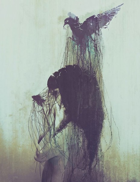 x_6e44bec1_large (465x604, 52Kb)