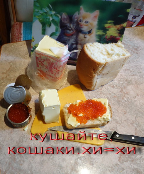   (491x593, 109Kb)