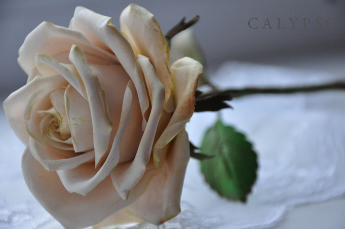 DSC_0039 (700x464, 328Kb)