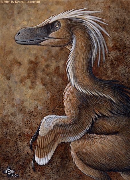 Dragon_Feathers___Velociraptor_by_kyoht (456x629, 89Kb)