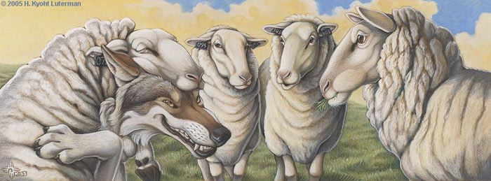 Sheeps_Clothing_by_kyoht (700x259, 49Kb)