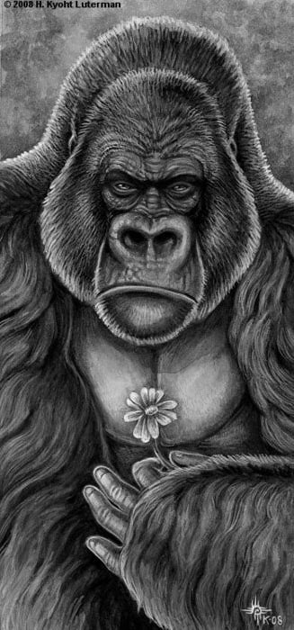 The_Gorilla_of_Grumpiness_by_kyoht (327x700, 56Kb)