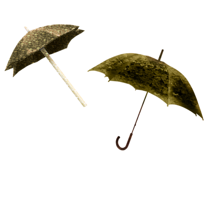 Плащ от дождя PNG. Зонтик читать
