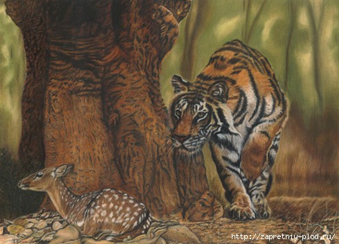 Tiger-hunting-a-deer-75cmx55cm-anne-freccero  -1 (490x352, 116Kb)