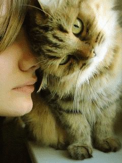 sexy--------animals--4_large (240x320, 27Kb)