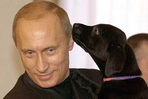 4498623_1 (630x421, 34Kb)