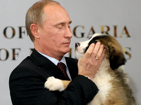 4498623_alg_resize_putin_dog (485x360, 38Kb)