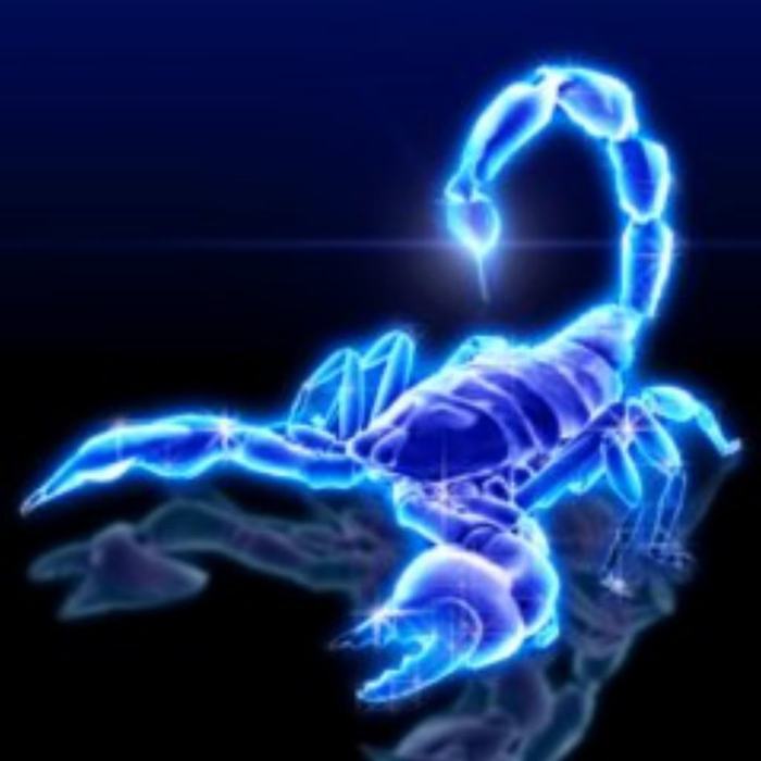 scorpion-1 (700x700, 36Kb)