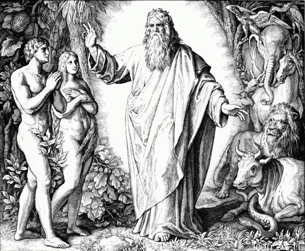4826692____20110219_1963453194 (600x495, 115Kb)