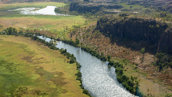 kakadu (6) (700x393, 158Kb)