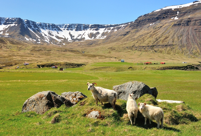 iceland (5) (700x475, 253Kb)